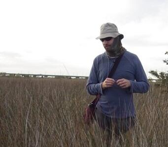 Fieldwork in a marsh
