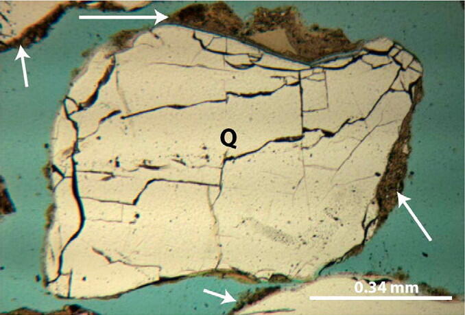Photomicrograph of a polished thin section showing a cross-sectional view of a quartz sand grain (labeled Q) from a soil sample.