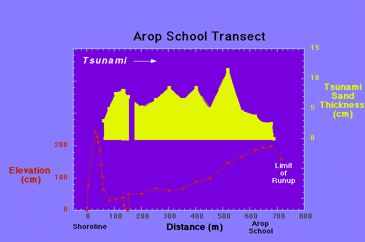 Graph shows tsunami sand thickness and land height along a transect.
