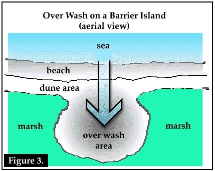 This is an illustration of Over Wash on a Barrier Island.