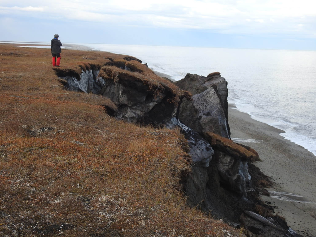 A person stands on tundra at the edge of a cliff that has gigantic chunks of eroded blocks tumbled down onto the beach.
