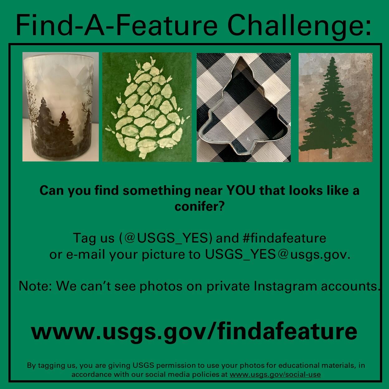 This image shows text about the Find-A-Feature Challenge, three tree shapes, and one cone shape.