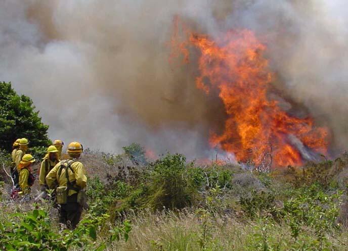 Fire in Hawaii. Credit: NPS