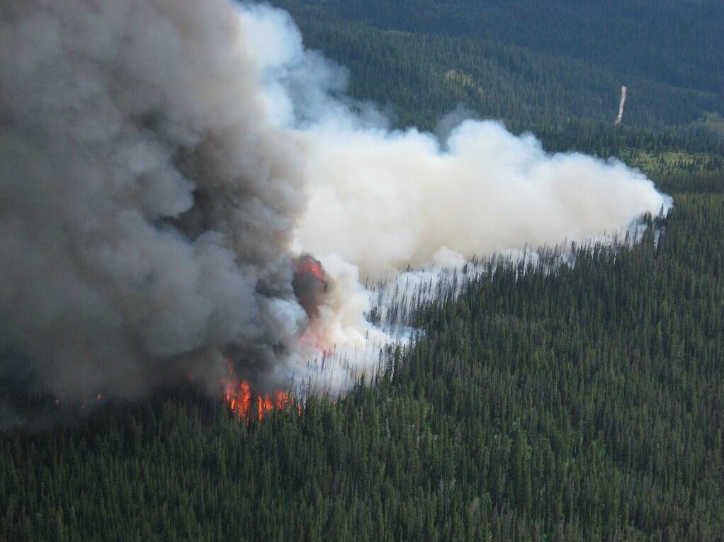 Fire in Lolo National Forest, Montana