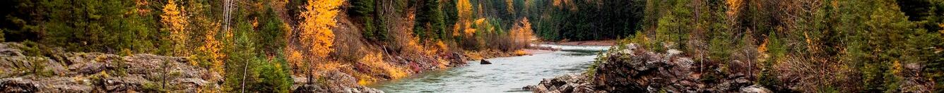 The Flathead River in Montana flows through forest with fall foliage