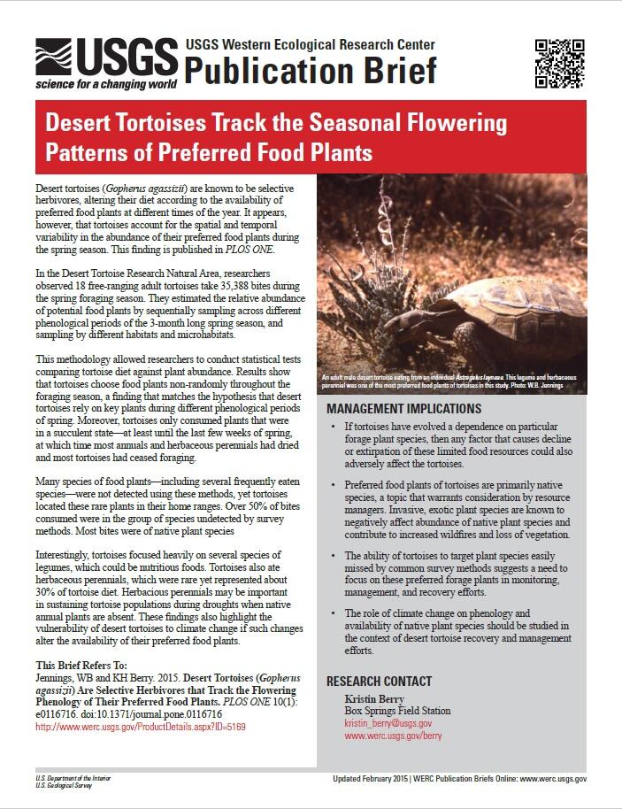 Screenshot of WERC pub brief on desert tortoises