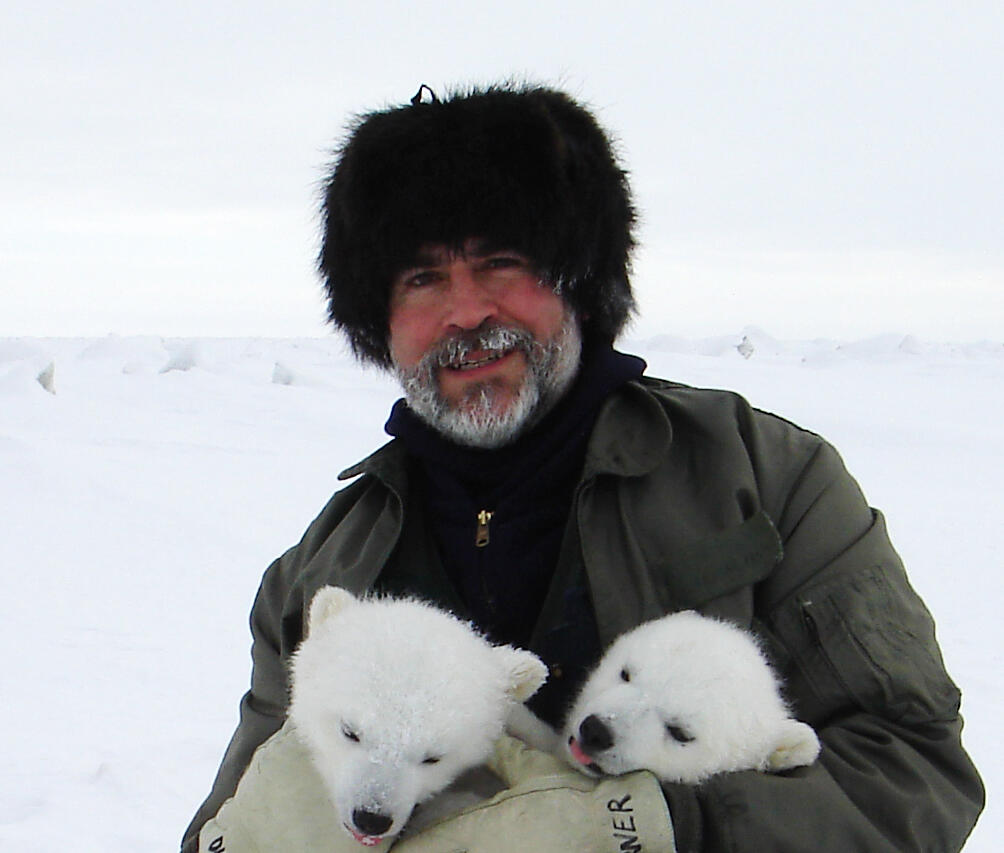 George Durner holding polar bear cubs 7 miles north of Endicott, Alaska