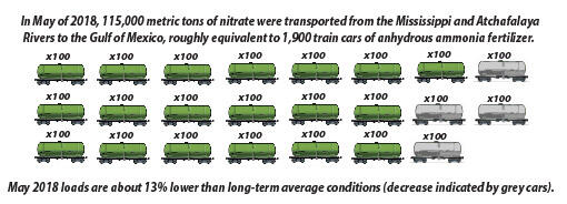 Infographic using 19 train cars, each representing 100, to show the amount of nitrate that flowed into the Gulf in May 2018