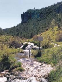 Headwater springflow at the eastern edge of the Limestone Plateau
