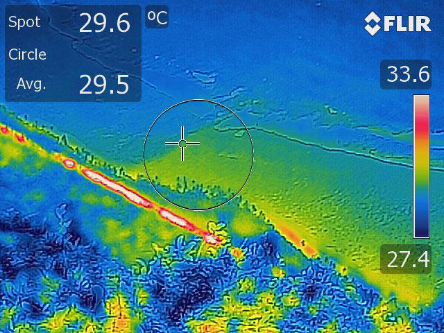 Thermal image indicates water temperature,  warmer temperatures are represented as red and cooler temperatures as blue. 
