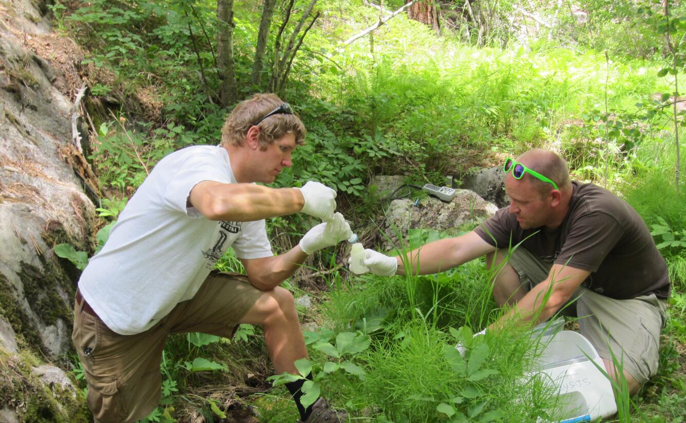 Scientists sampling surface water from a gulch