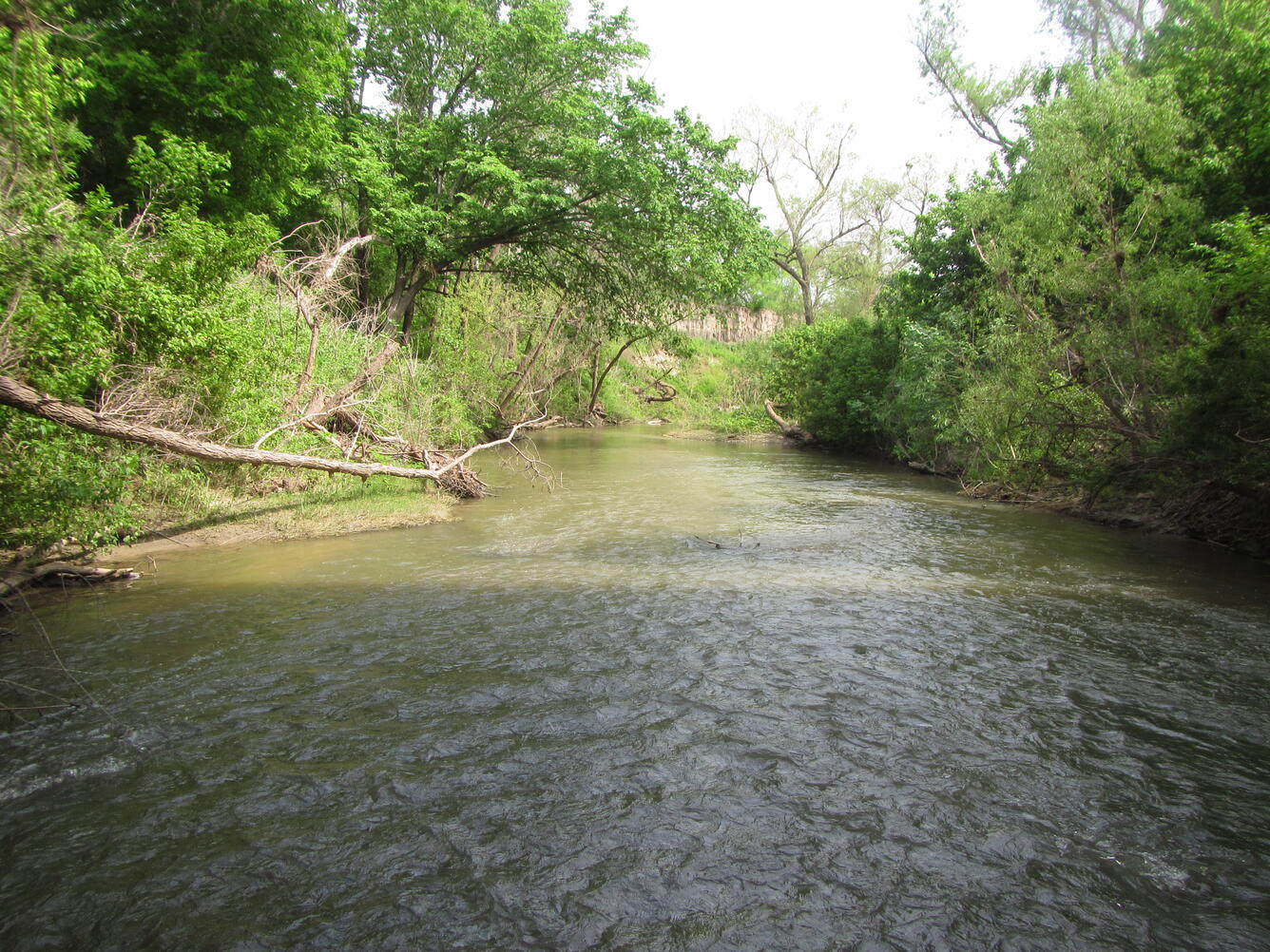 Creek near San Antonio, TX