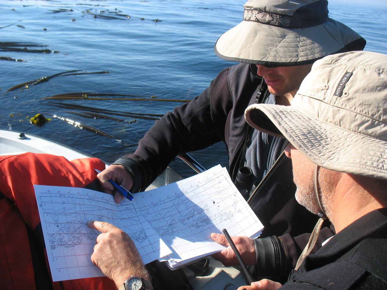 WERC scientists locating sea otters for annual survey