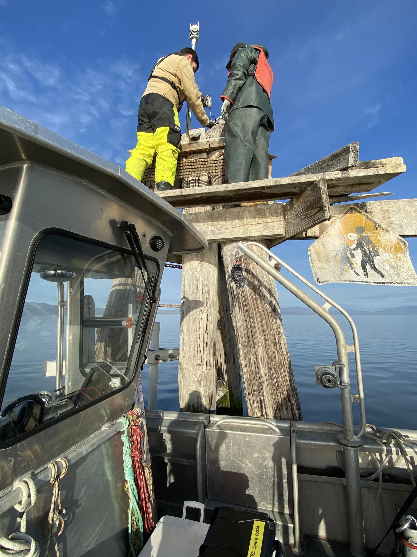 Two people install instruments atop a permanent mooring called a dolphin, large wooden pilings affixed in shallow water.