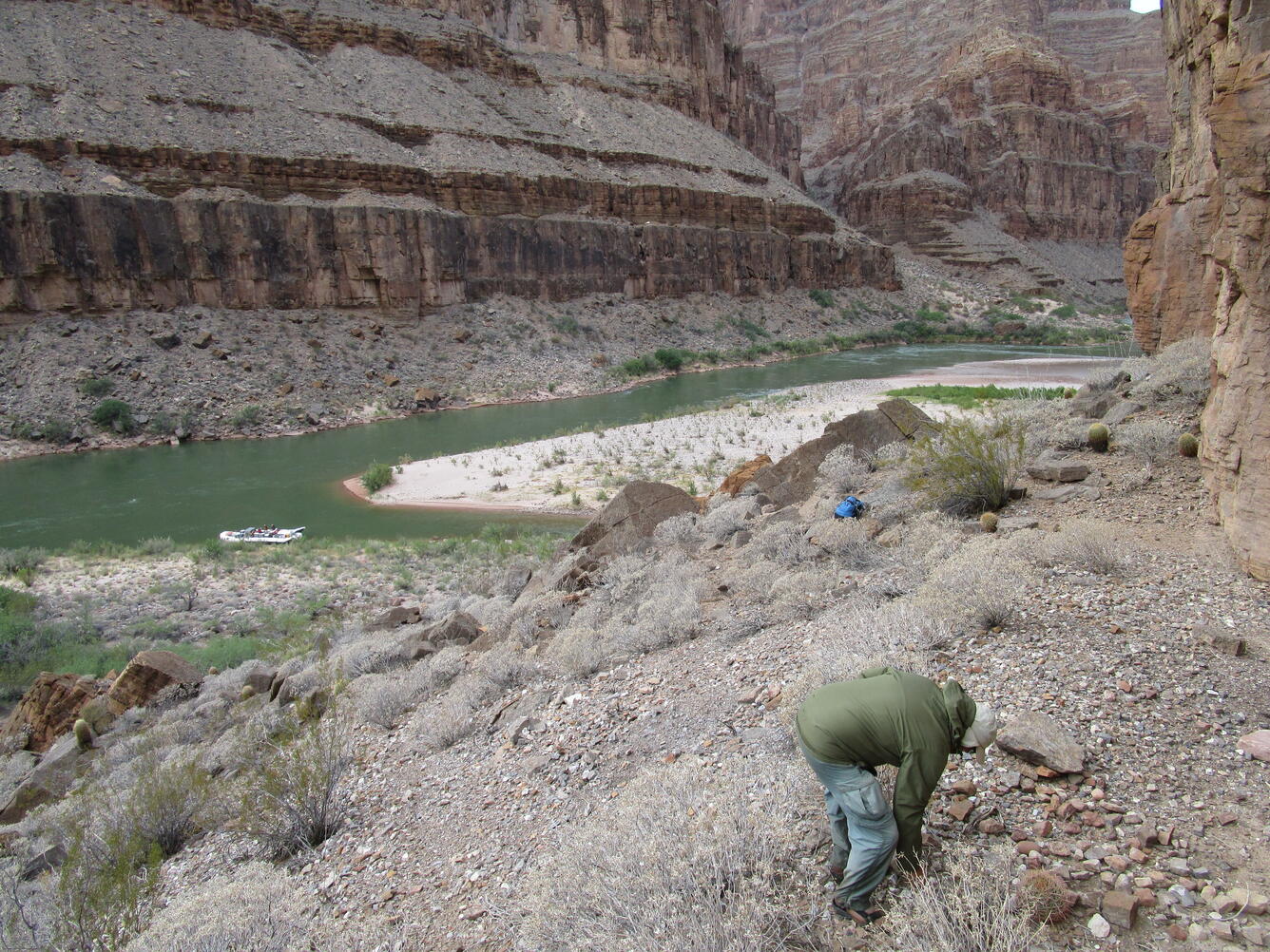 Sandbar in the Colorado River in the Grand Canyon with the tall walls of the Grand Canyon in the background