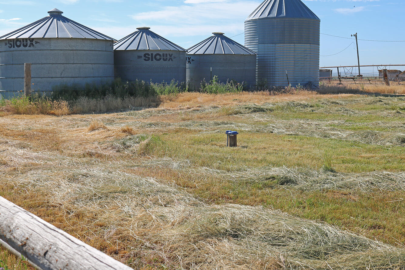 A domestic well in an alfalfa field in southern Idaho