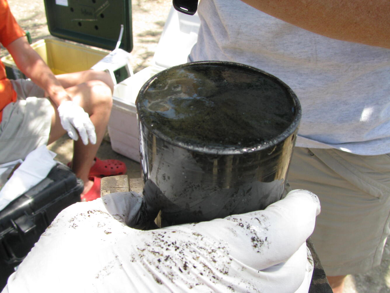 sediment core sample