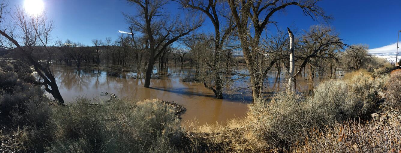 Flooding in January 2017 along the Carson River, Nevada