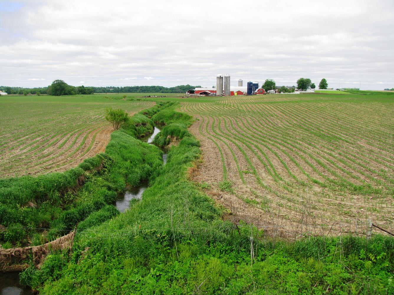 Midwest stream through row crop