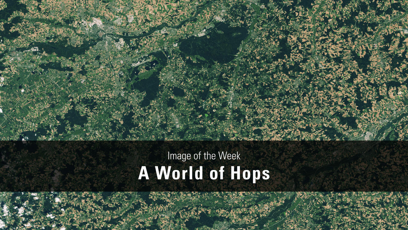 Title page for Image of the Week - A World of Hops