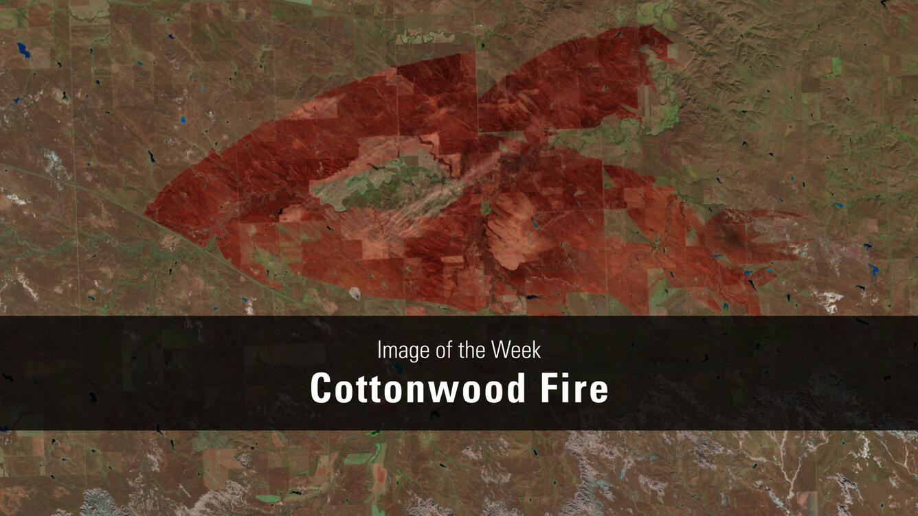 Thumbnail for USGS EROS Image of the Week - Cottonwood Fire