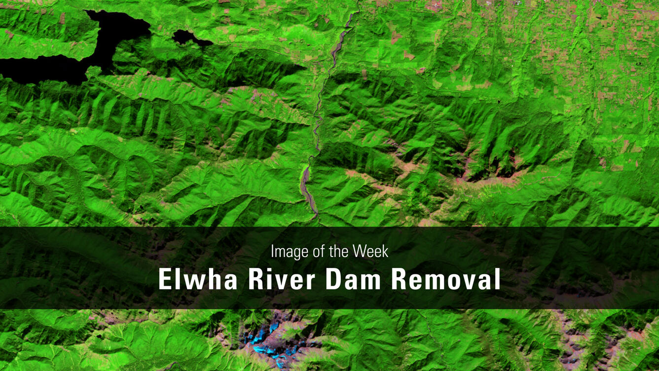 Thumbnail for USGS EROS Image of the Week - Elwha Dam Removal