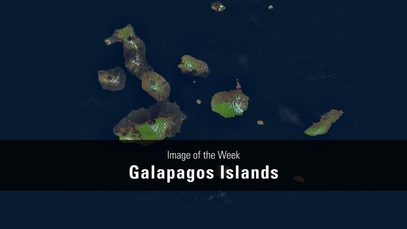 Image of the Week - Galapagos