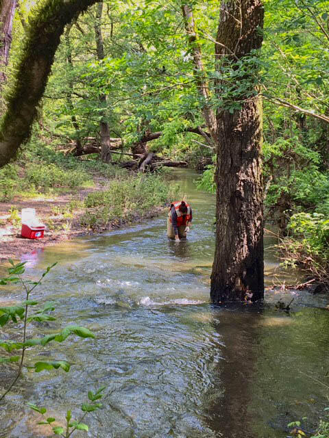 Joan Lopez, USGS, collecting water quality samples