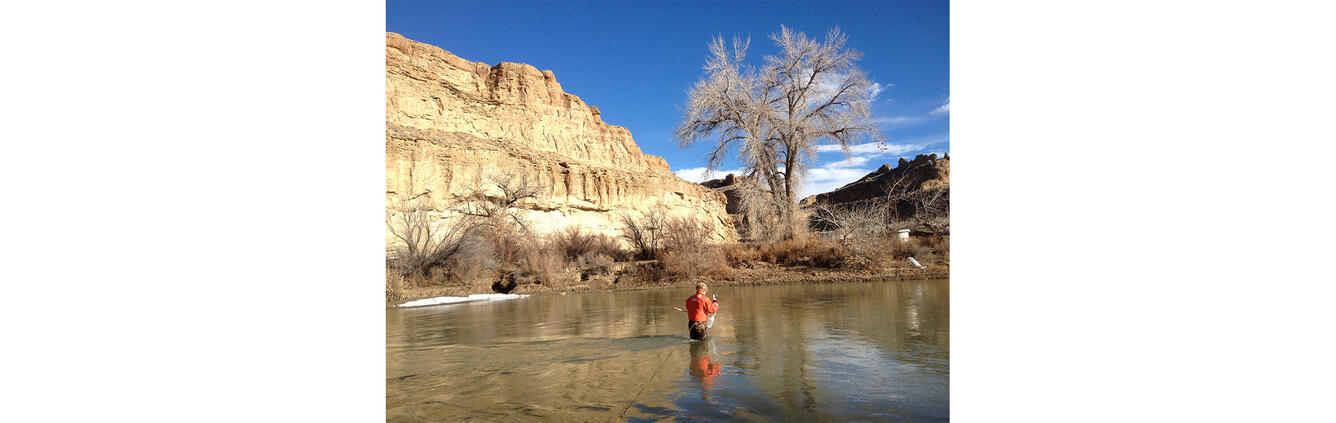 USGS scientist wades White River near Watson, Utah to collect water sample for quality analysis