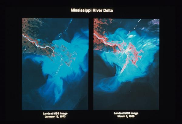 Landsat MSS image showing change in Mississippi River Delta, 1973-1989
