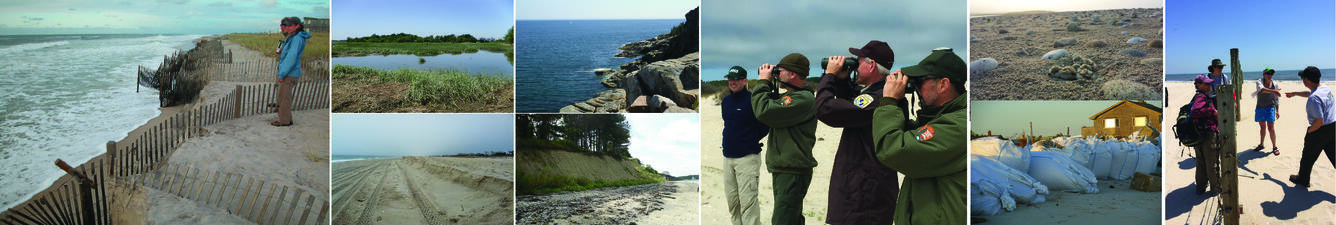 Photograph collage for Sea-Level Rise Hazards Project Page