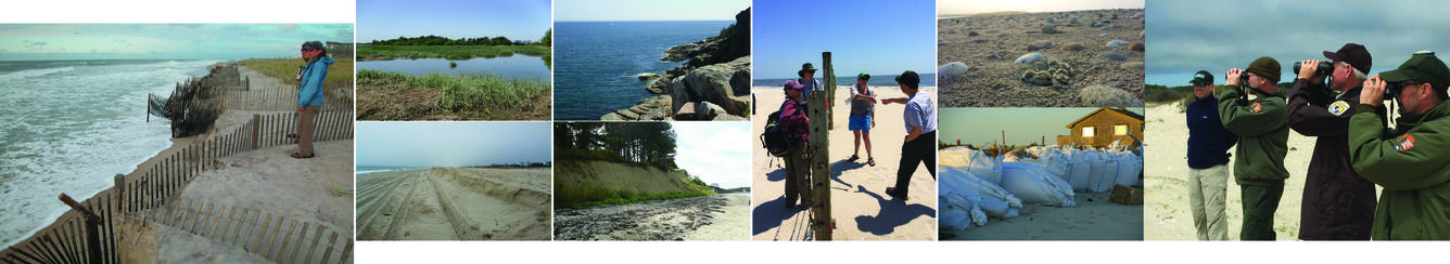 Photograph collage for Sea-Level Rise Hazards Project Page