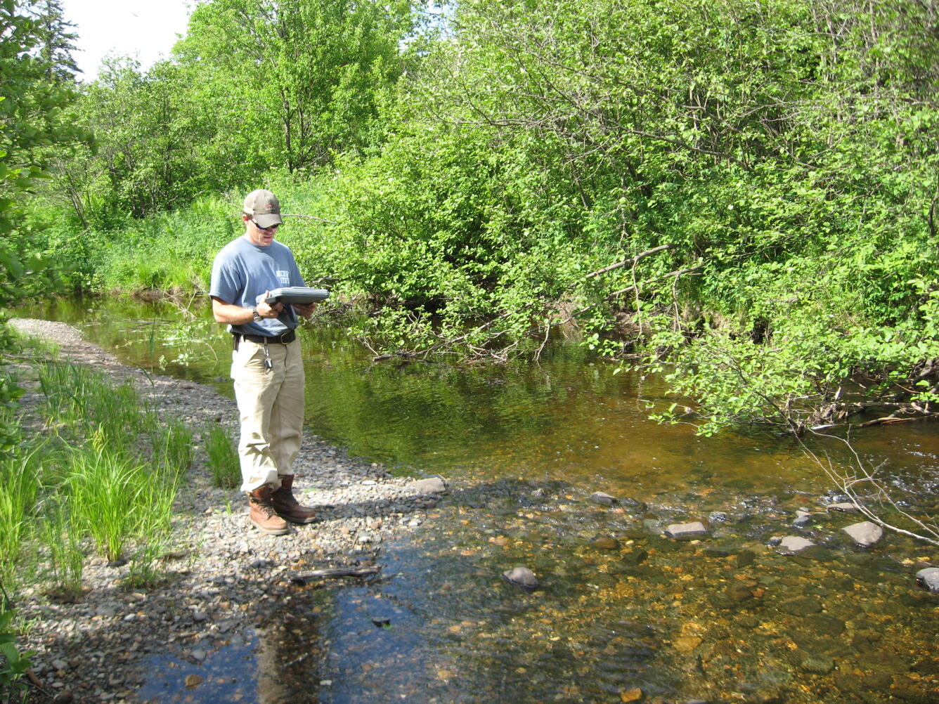 USGS technician monitoring a low flow in a stream while standing on a pebble island in stream in summer.
