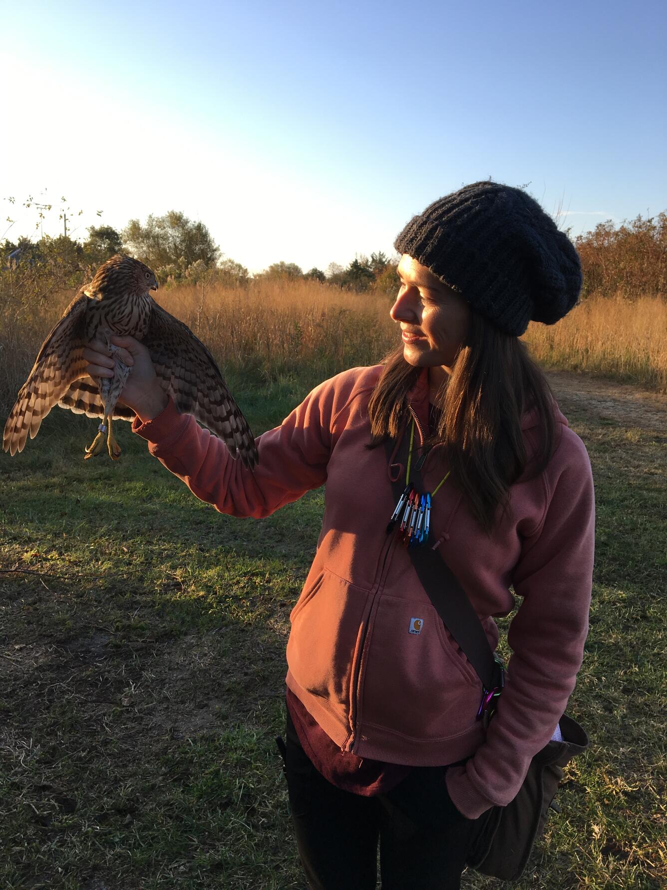 Melissa Roach holds a recently banded accipiter