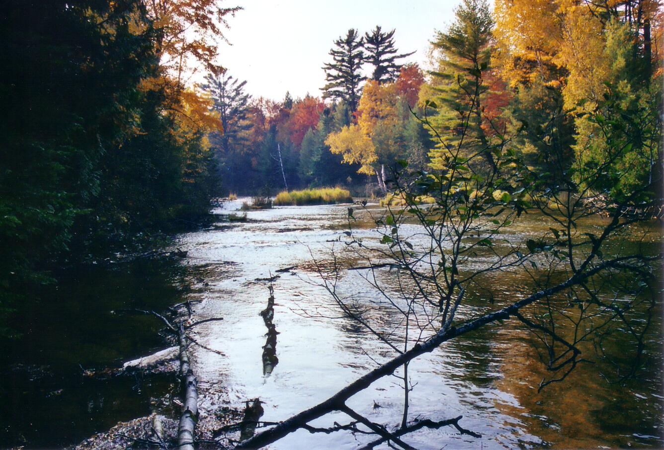 Autumn colors at Millecoquin River near Naubinway, Michigan
