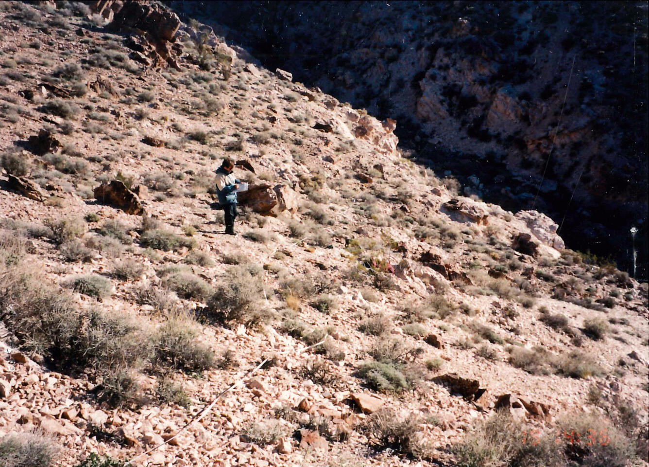Researcher in Mojave Desert