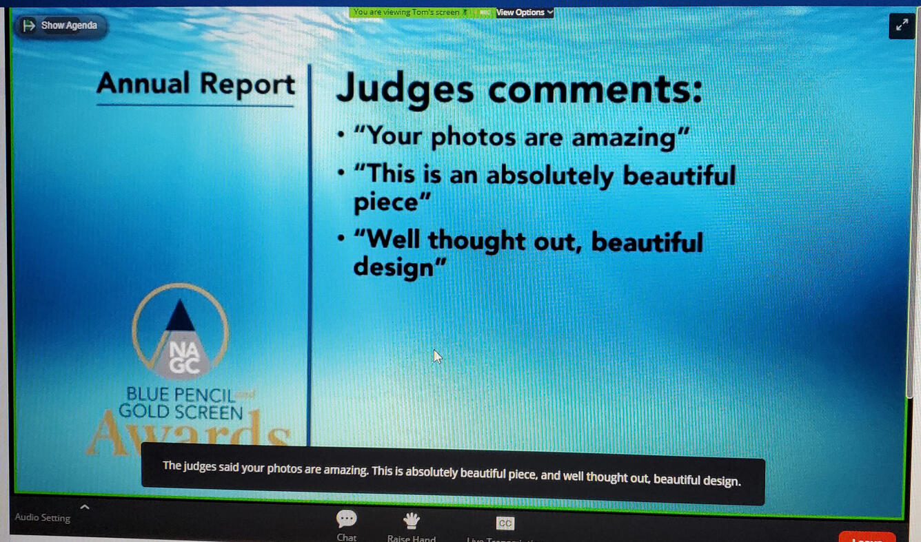 Blue Pencil Award Winner Screen Shot of Judges' Comments
