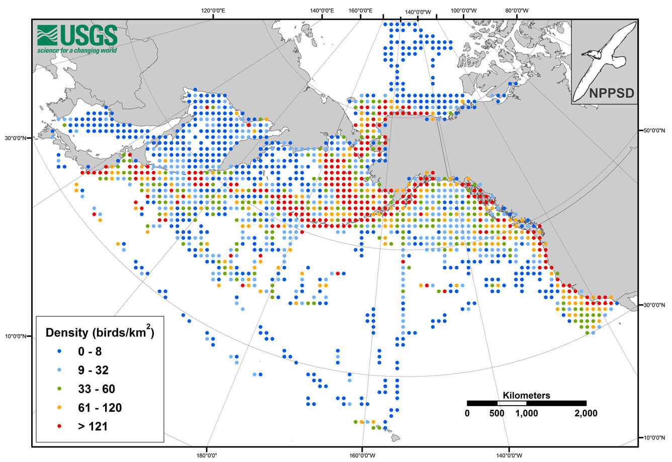 A map of the North Pacific showing seabird density distribution from NPPSD samples