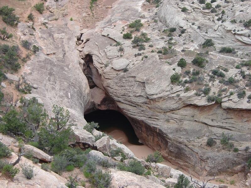 This is a photo of a waterpocket at the base of a falls in Armstrong Canyon. 