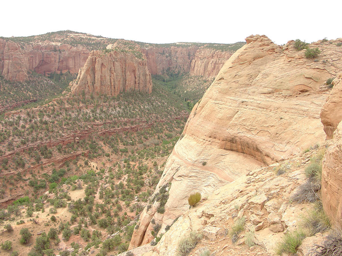 This is a photo of a view from the Betatakin Ruins trail in Navajo National Monument. 