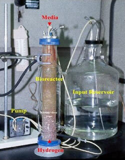 Laboratory-scale bioreactor for removing nitrate from water
