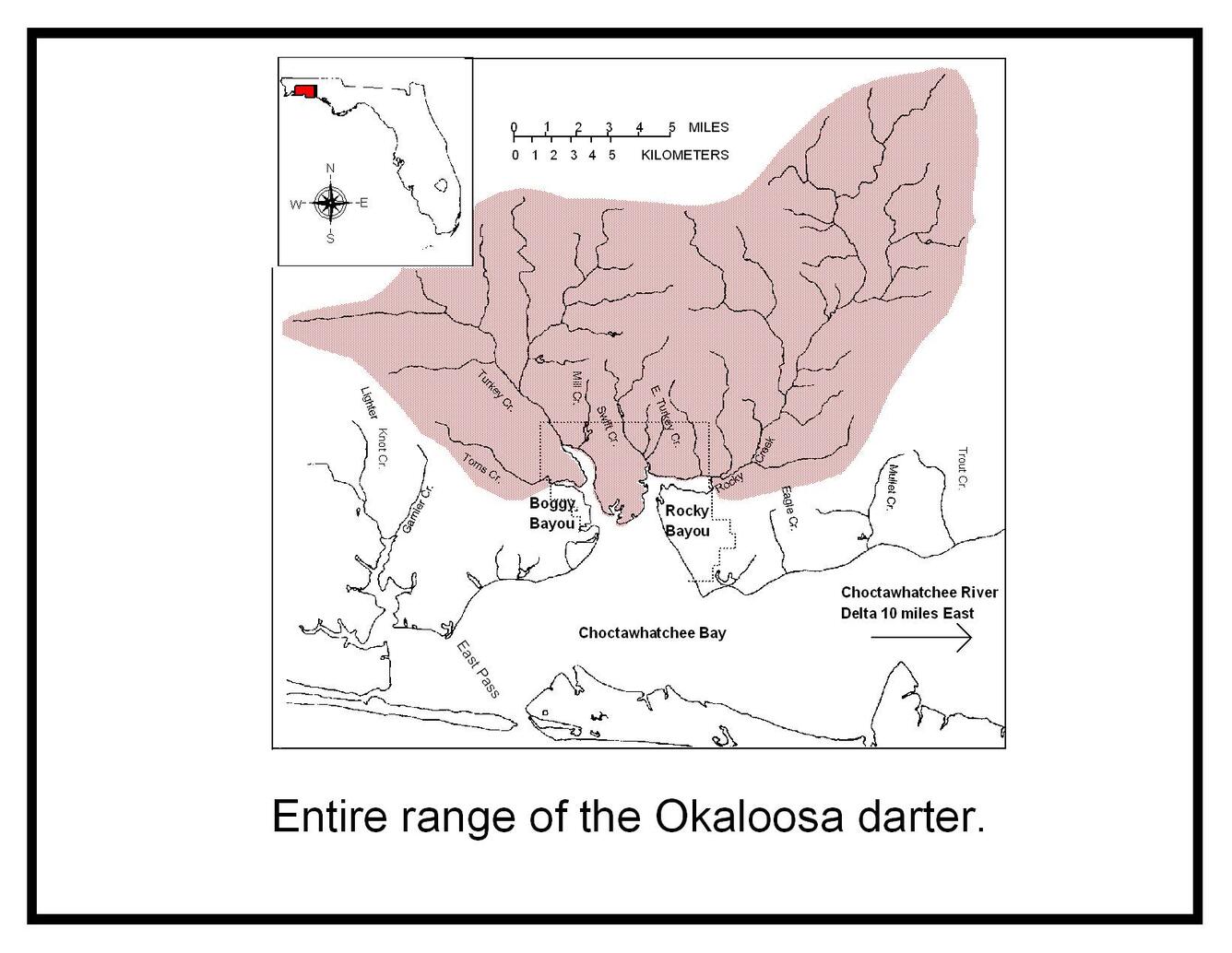 Entire range of Okaloosa darter