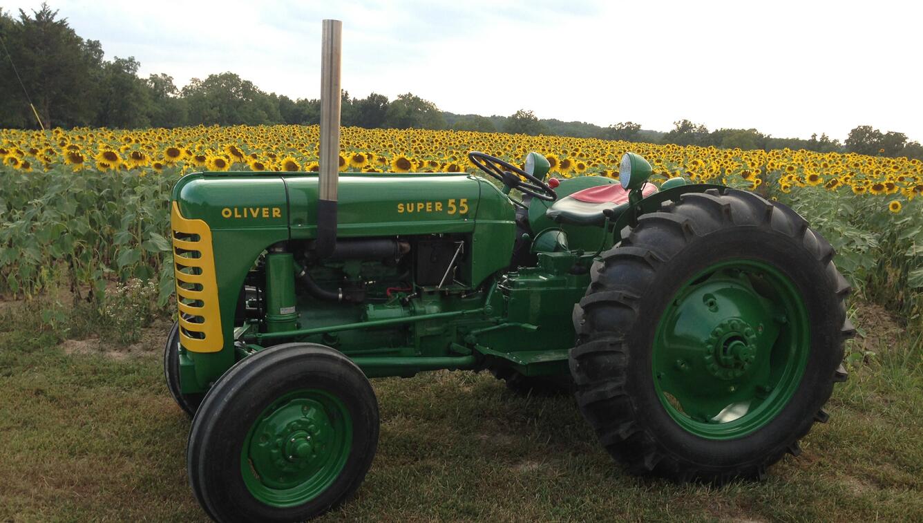 Tractor in field of sunflowers