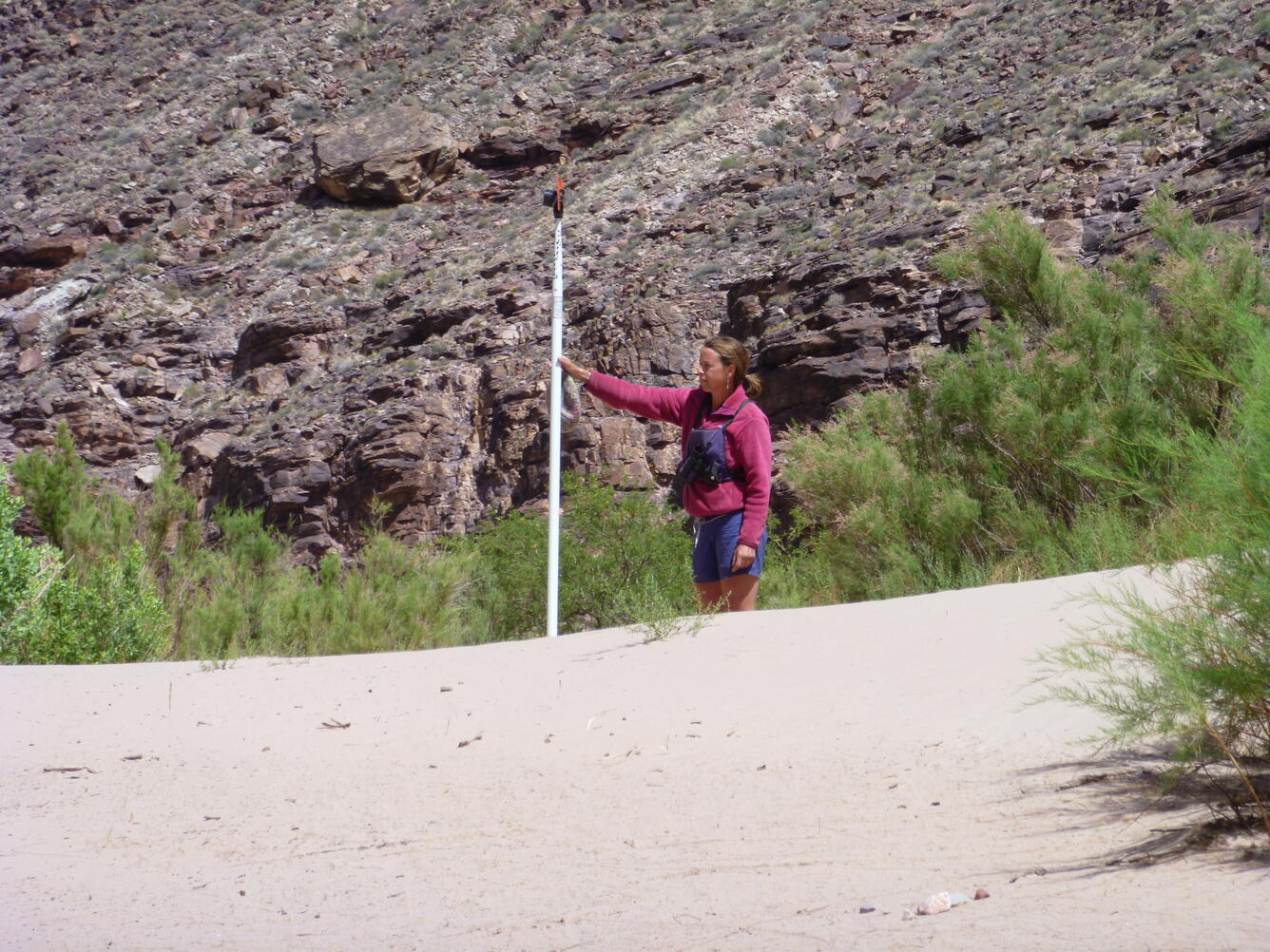 Surveying an exposed sandbar along the bank of the Colorado River 
