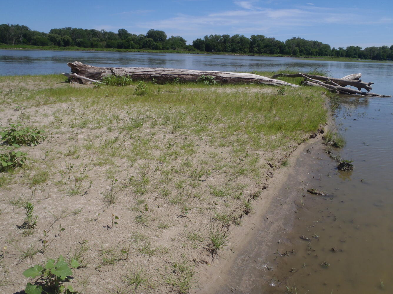 Sandbar in the lower Platte River, NE