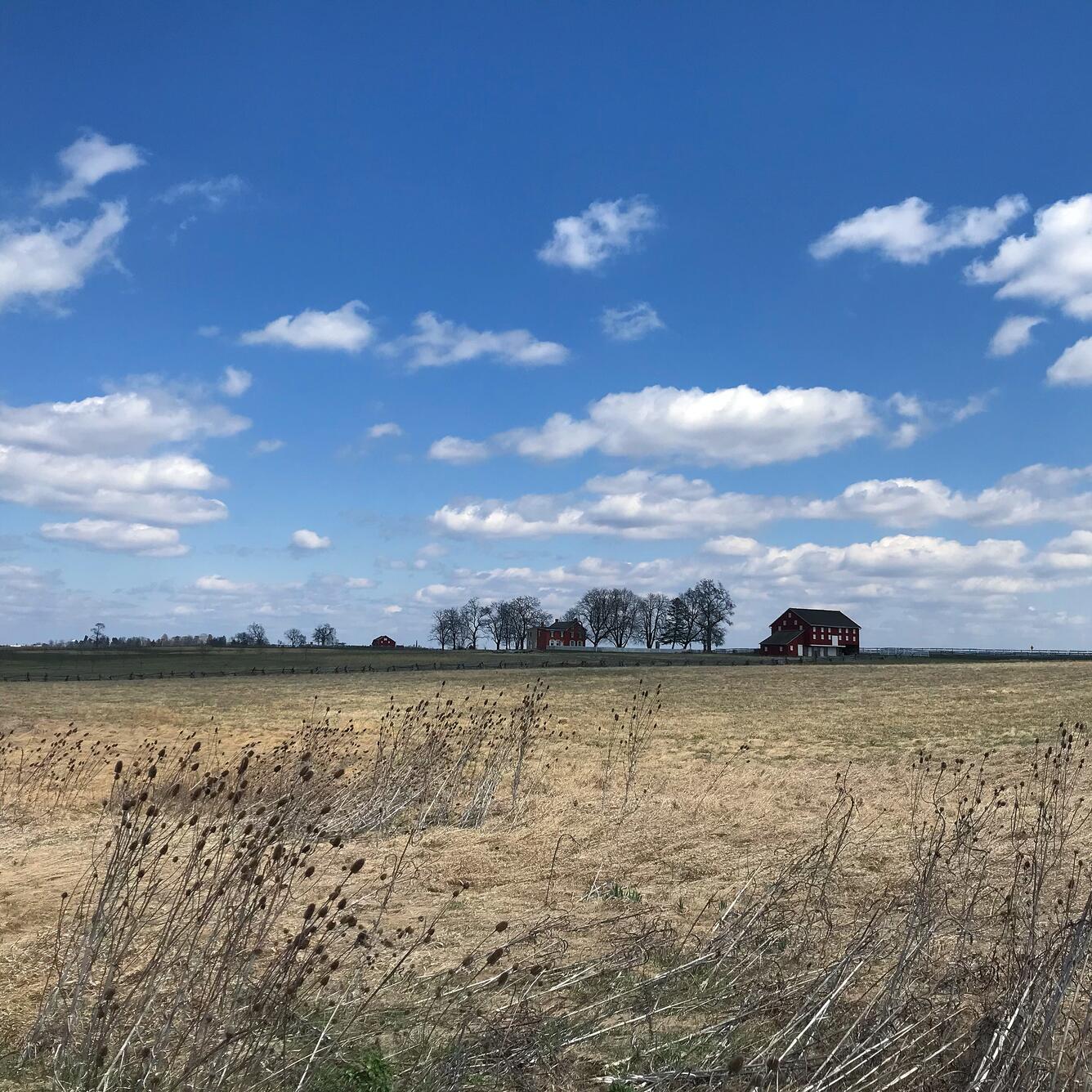 A fallow field in the foreground, an old red bank barn and brick farmhouse, blue sky and fair weather cumulus clouds.
