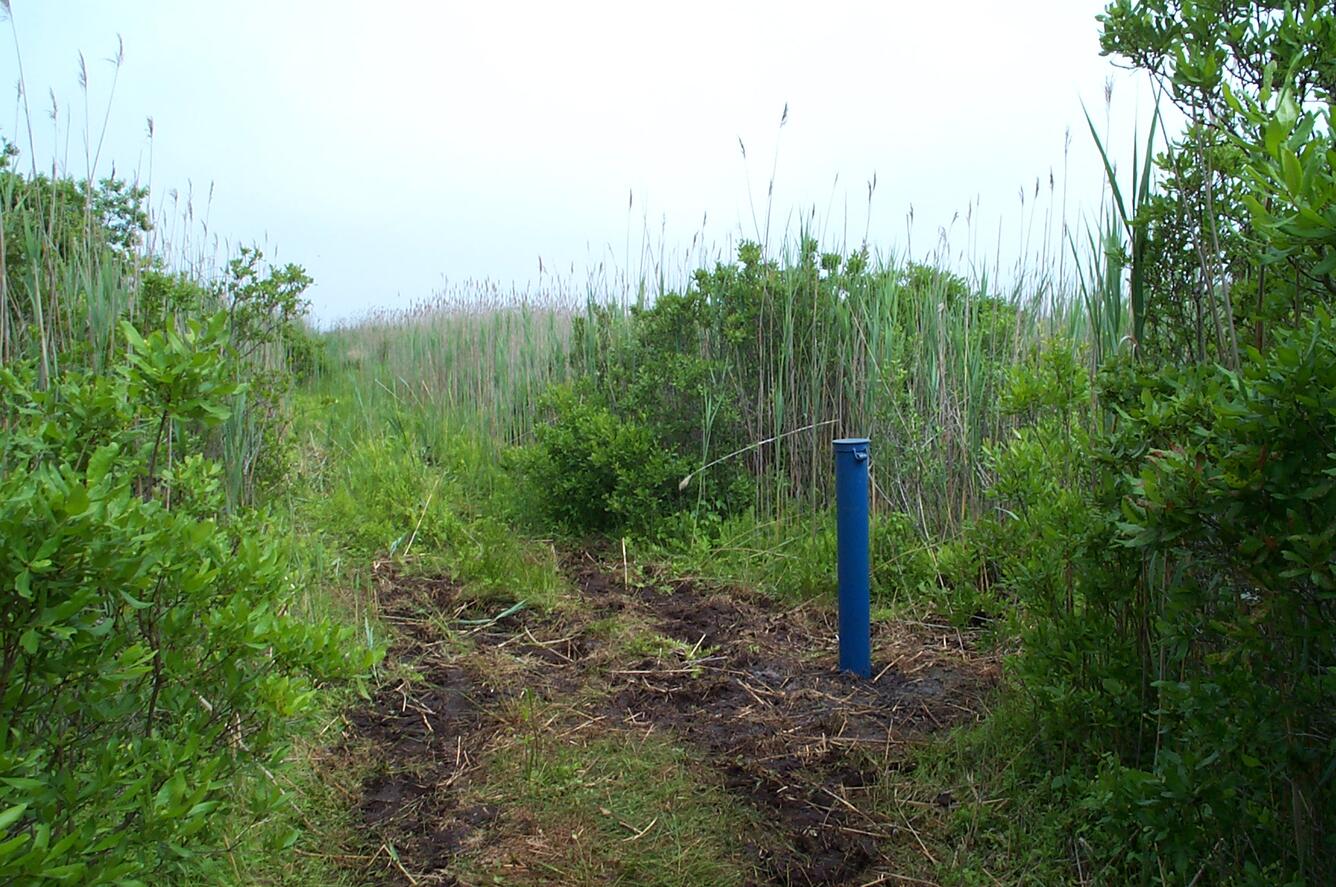 blue pipe of recently installed groundwater well sticking out of dirt by coast of Long Island