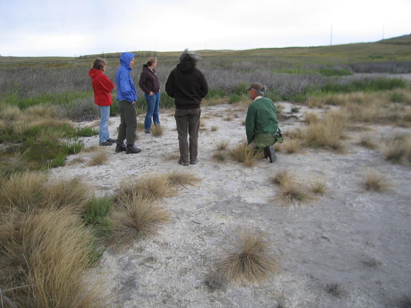 Researchers stand in saline soil, Medicine Lake NWR