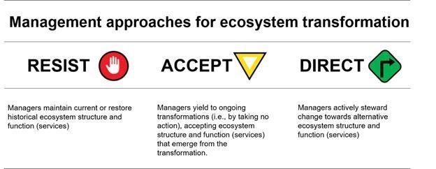 Infographic outlining the Resist, Accept, Direct (RAD) Framework for making management decisions about ecosystem transformation