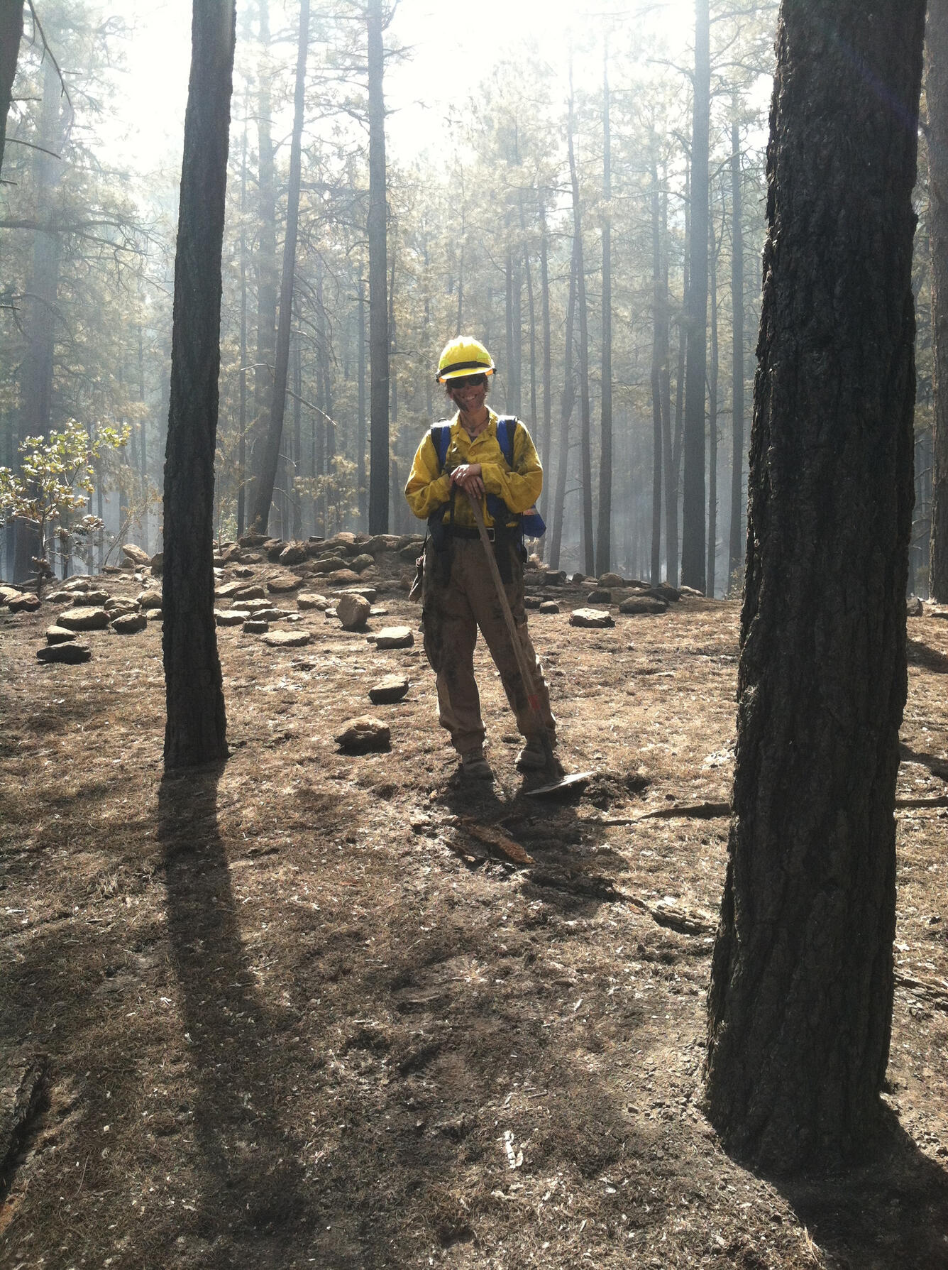 Rachel Loehman standing in a burned forest